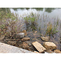 Portsmouth King Tide image